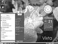 vixta_virtual_2_120.jpg